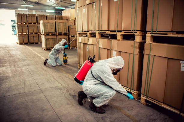 Best Pest Control Near Me  in Mount Pleasant, UT