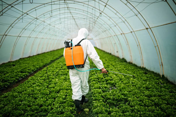 Best Ant Control Services  in Mount Pleasant, UT