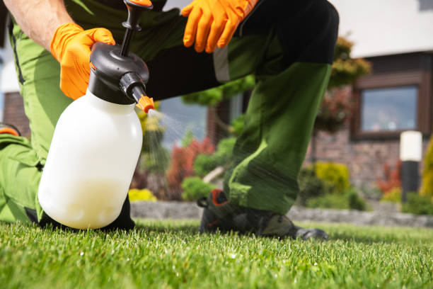 Best Commercial Pest Control Services  in Mount Pleasant, UT