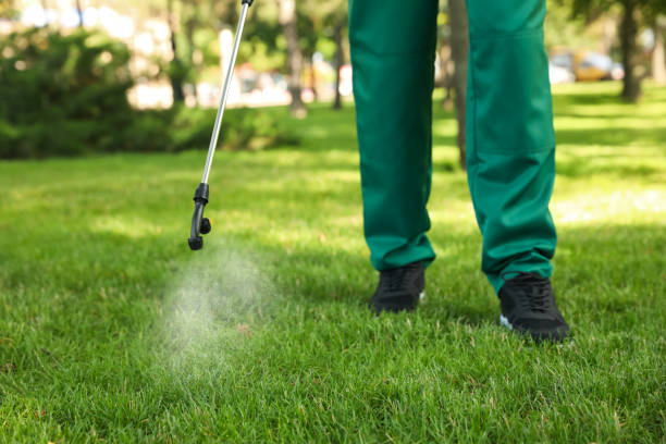 Best Flea Control Services  in Mount Pleasant, UT