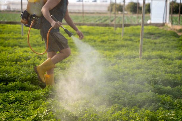 Best Best Pest Control Near Me  in Mount Pleasant, UT