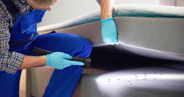 Best Termite Control Services  in Mount Pleasant, UT