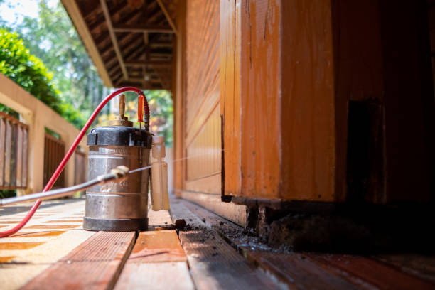 Best Local Pest Control Services  in Mount Pleasant, UT