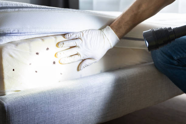 Pest Control Cost in Mount Pleasant, UT