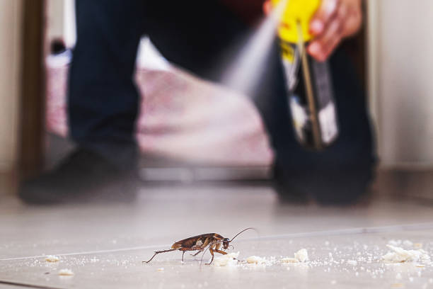 Best Emergency Pest Control  in Mount Pleasant, UT