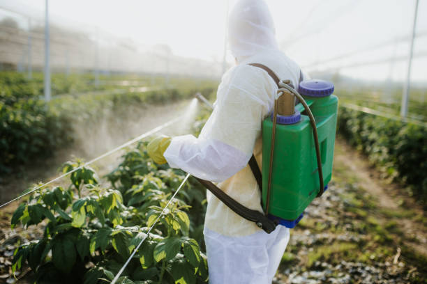 Best Exterminator Services  in Mount Pleasant, UT